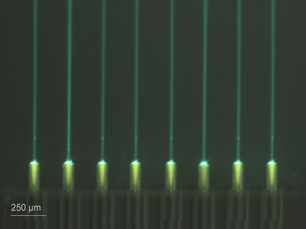 [视频] Nanoscribe Quantum X align 用于光电集成封装工艺的纳米级3D打印机